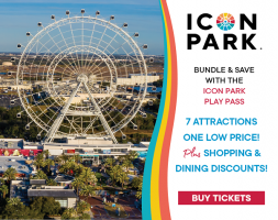 ICON Park Play Pass 